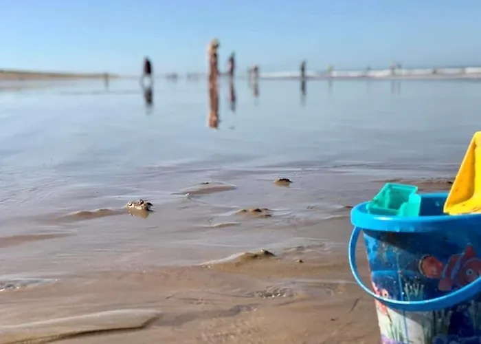 Maison 150m De La Plage, Piscine, Wifi, Parking - Fr-1-231-202 度假居 *